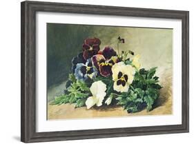 Winter Pansies, 1884-Louis Bombled-Framed Giclee Print