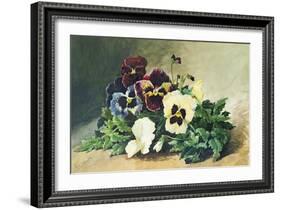 Winter Pansies, 1884-Louis Bombled-Framed Giclee Print