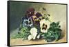 Winter Pansies, 1884-Louis Bombled-Framed Stretched Canvas