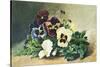 Winter Pansies, 1884-Louis Bombled-Stretched Canvas