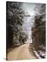 Winter Paradise-Jai Johnson-Stretched Canvas