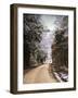 Winter Paradise-Jai Johnson-Framed Photographic Print