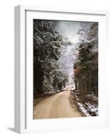 Winter Paradise-Jai Johnson-Framed Photographic Print