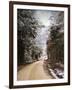 Winter Paradise-Jai Johnson-Framed Photographic Print