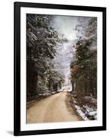 Winter Paradise-Jai Johnson-Framed Photographic Print