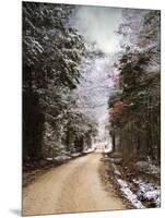 Winter Paradise-Jai Johnson-Mounted Photographic Print