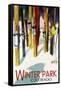 Winter Park, Colorado - Colorful Skis-Lantern Press-Framed Stretched Canvas