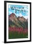 Winter Park, Colorado - Fireweed and Mountains-Lantern Press-Framed Art Print