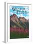 Winter Park, Colorado - Fireweed and Mountains-Lantern Press-Framed Art Print