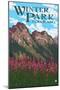 Winter Park, Colorado - Fireweed and Mountains-Lantern Press-Mounted Art Print
