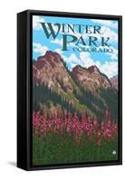 Winter Park, Colorado - Fireweed and Mountains-Lantern Press-Framed Stretched Canvas