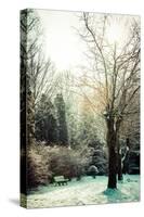 Winter Park in Poland-Curioso Travel Photography-Stretched Canvas
