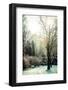 Winter Park in Poland-Curioso Travel Photography-Framed Photographic Print
