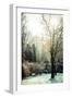 Winter Park in Poland-Curioso Travel Photography-Framed Photographic Print