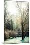 Winter Park in Poland-Curioso Travel Photography-Mounted Photographic Print