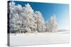 Winter Park in Snow-Hydromet-Stretched Canvas