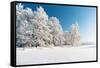 Winter Park in Snow-Hydromet-Framed Stretched Canvas