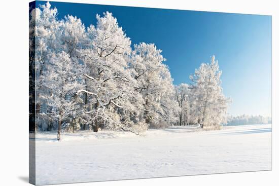 Winter Park in Snow-Hydromet-Stretched Canvas