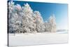 Winter Park in Snow-Hydromet-Stretched Canvas