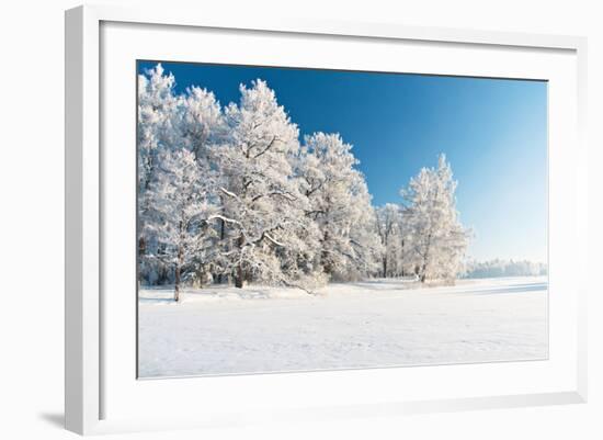 Winter Park in Snow-Hydromet-Framed Photographic Print