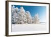 Winter Park in Snow-Hydromet-Framed Photographic Print