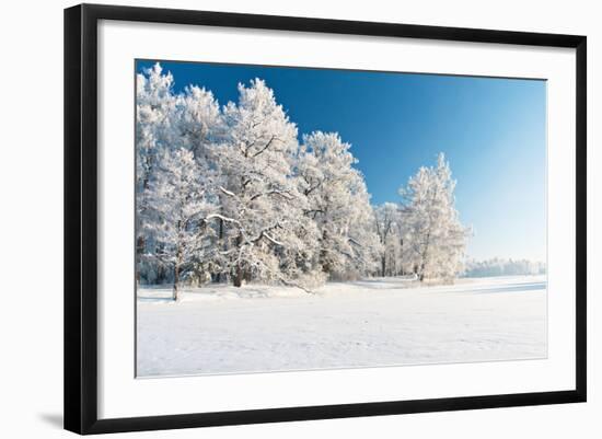 Winter Park in Snow-Hydromet-Framed Photographic Print