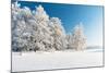 Winter Park in Snow-Hydromet-Mounted Photographic Print