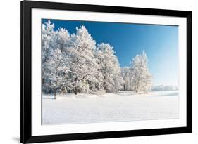 Winter Park in Snow-Hydromet-Framed Photographic Print