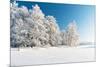 Winter Park in Snow-Hydromet-Mounted Photographic Print