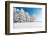 Winter Park in Snow-Hydromet-Framed Photographic Print