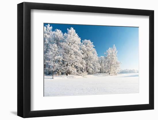 Winter Park in Snow-Hydromet-Framed Photographic Print