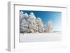 Winter Park in Snow-Hydromet-Framed Photographic Print