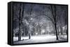 Winter Park in the Evening Covered with Snow with a Row of Lamps-Olegkalina-Framed Stretched Canvas