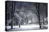 Winter Park in the Evening Covered with Snow with a Row of Lamps-Olegkalina-Stretched Canvas