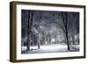 Winter Park in the Evening Covered with Snow with a Row of Lamps-Olegkalina-Framed Photographic Print