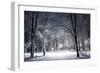 Winter Park in the Evening Covered with Snow with a Row of Lamps-Olegkalina-Framed Photographic Print