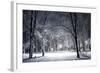 Winter Park in the Evening Covered with Snow with a Row of Lamps-Olegkalina-Framed Photographic Print