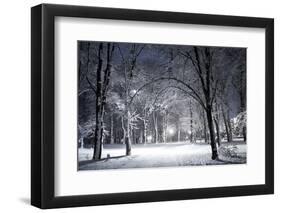 Winter Park in the Evening Covered with Snow with a Row of Lamps-Olegkalina-Framed Photographic Print