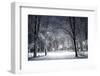 Winter Park in the Evening Covered with Snow with a Row of Lamps-Olegkalina-Framed Photographic Print