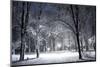 Winter Park in the Evening Covered with Snow with a Row of Lamps-Olegkalina-Mounted Photographic Print