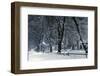 Winter Park-duallogic-Framed Photographic Print