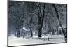 Winter Park-duallogic-Mounted Photographic Print