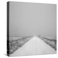 Winter Path-Andrew Geiger-Stretched Canvas