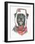 Winter Paws II-Beth Grove-Framed Art Print