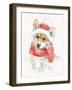 Winter Paws III-Beth Grove-Framed Art Print