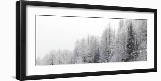 Winter Pines-Mikhaylov-Framed Art Print