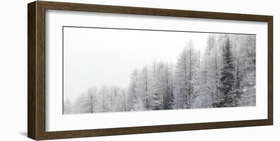 Winter Pines-Mikhaylov-Framed Art Print