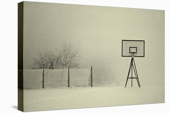 Winter Playground-Jure Kravanja-Stretched Canvas