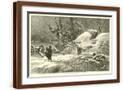 Brown Frame