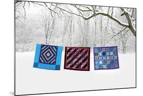 Winter Quilts-Bill Coleman-Mounted Giclee Print